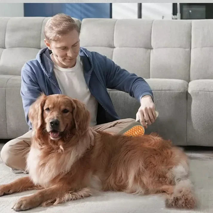 Cepillo de vapor 3 en 1 para gatos