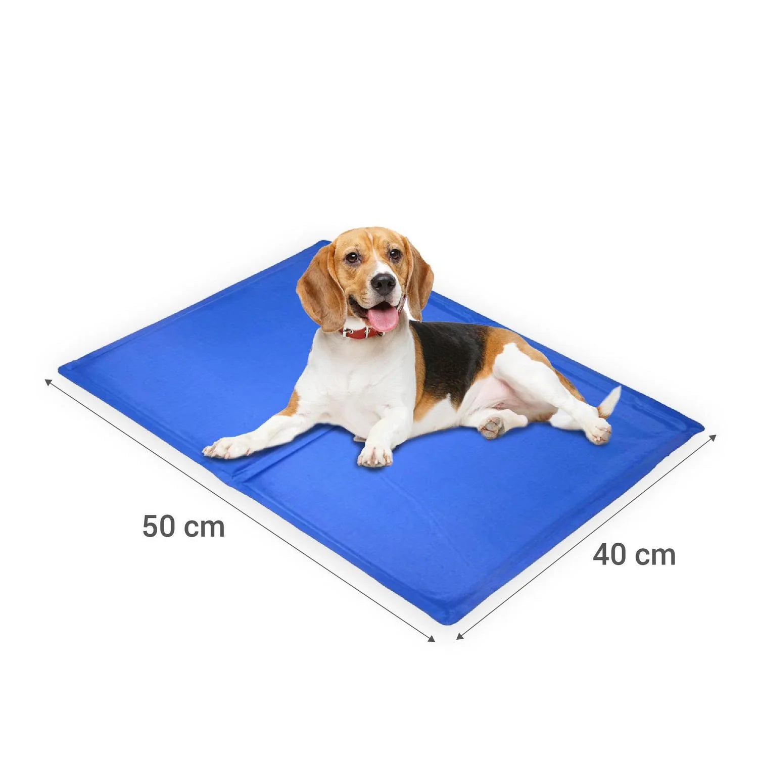 🐱Manta Refrigerante Para Mascota 50x40cm🐶